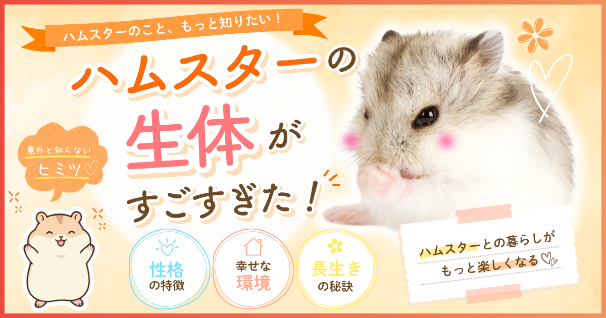 バナー2